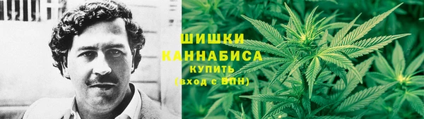 дживик Балахна