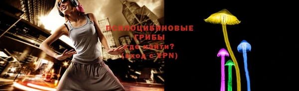 винт Арсеньев